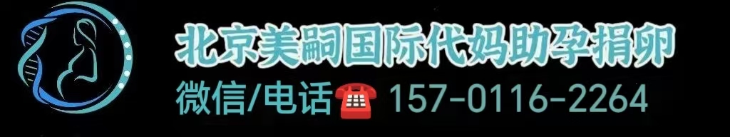 广州更好的代怀孕公司